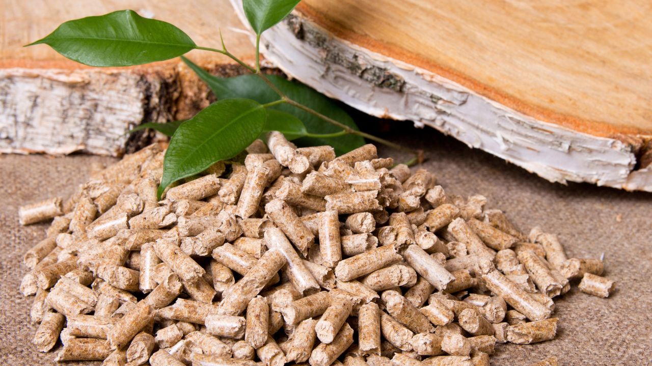 Biomass pellets shown with a small plant and some wood by quality bio which is one of the leading biomass pellets manufacturers in india.