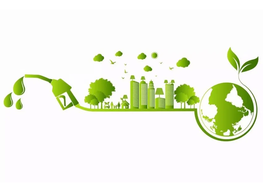 Why the Social Impact of Biofuel Supply Chain Matters shown with the help of a picture