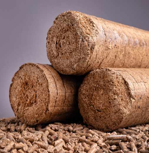 Explore the process of how biomass briquettes are made.